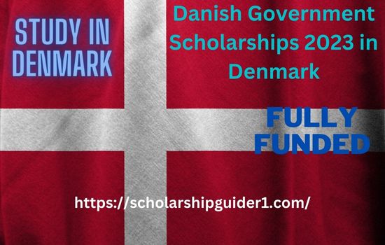 Danish Government Scholarships