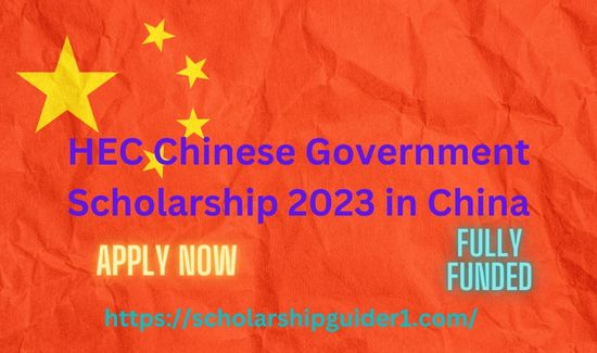 Scholarships in china