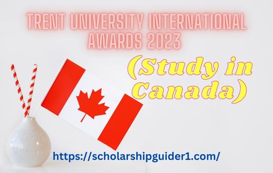 Trent University International Awards 2023