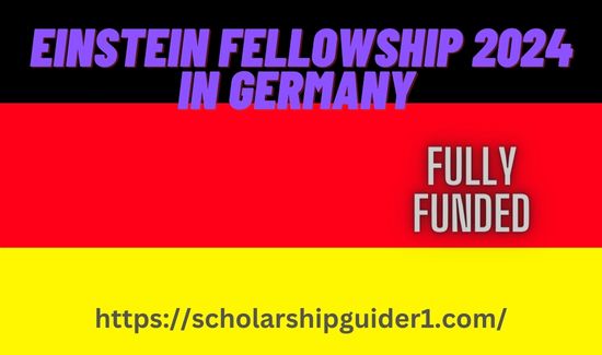 Einstein Fellowship 2024 in Germany