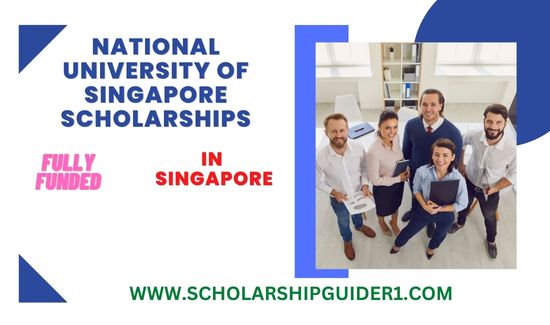 National University of Singapore Scholarships 2023-24