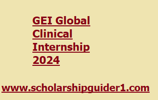 GEI Global Clinical Internship 2024