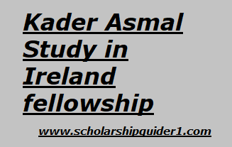 Kader Asmal Study in Ireland fellowship