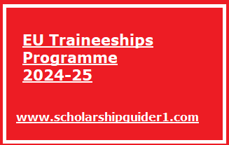 EU Traineeships Programme 2024-25