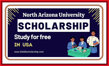 University of Arizona Scholarships 2024 | Study in USA